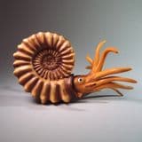 MODEL OF AN AMMONITE AS IT MIGHT HAVE LOOKED IN LIFE