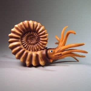 MODEL OF AN AMMONITE AS IT MIGHT HAVE LOOKED IN LIFE