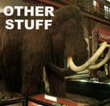 MODELS, MICROSCOPES, HAND LENSES, DVDs, ANTIQUES AND UNUSUAL ITEMS