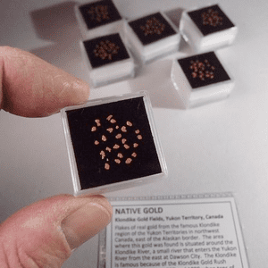 NATIVE GOLD - YUKON TERRITORY, CANADA