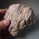 NUMMULITIC LIMESTONE