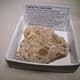 ONCOLITIC LIMESTONE  -  80 million years old - Utah, USA