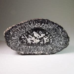 ORBICULAR GRANITE - Australia