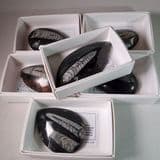 ORTHOCERAS (SMALL EXAMPLE IN GIFT BOX) - 400 million years old - Morocco