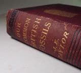 OUR COMMON BRITISH FOSSILS (1885) (Second hand copy in good condition)