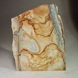 OWYHEE 'PICTURE JASPER' - Oregon, USA