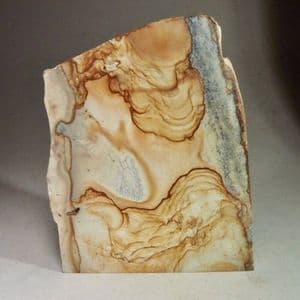 OWYHEE 'PICTURE JASPER' - Oregon, USA