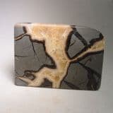 PART OF A SEPTARIAN NODULE (CUT AND POLISHED) - Holderness Coast, Yorkshire