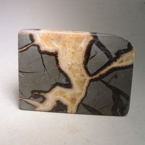PART OF A SEPTARIAN NODULE (CUT AND POLISHED) - Holderness Coast, Yorkshire