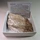 PHYLLITE - A weird metamorphic rock