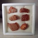 PIECES OF AMBER THOUGHT TO BE FROM THE EAST ANGLIAN COAST