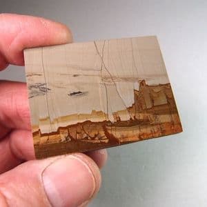 PIETRA PAESINA (LANDSCAPE MARBLE) - Florence, Italy