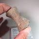 PLESIOSAUR PADDLE BONE - Peterborough