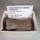 PLESIOSAUR PADDLE BONE - Peterborough