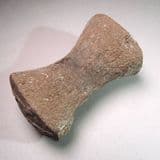 PLESIOSAUR PADDLE BONE - Peterborough