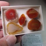 QUEENSLAND AGATES (COLLECTION OF FIVE SMALL AGATES) - Queensland, Australia