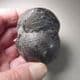 RARE CRETACEOUS AMMONITE  - 135 million years old  -  Germany