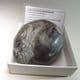RARE CRETACEOUS AMMONITE  - 135 million years old  -  Germany