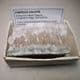 RARE FIBROUS CALCITE  -  Derbyshire