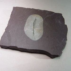 REDUCTION SPOT IN WELSH SLATE - North Wales