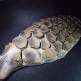REPLICA OF AN ICHTHYOSAUR PADDLE FROM BEDFORDSHIRE (Second hand item in very good condition)