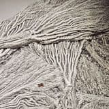 REPLICA OF CRINOID DEATH ASSEMBLAGE FROM LYME REGIS (second hand)