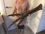 REPLICA OF T REX FOOT BONES (COMPLETE FOOT) (SECOND HAND)