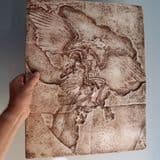 REPLICA OF THE BERLIN ARCHAEOPTERYX (second hand)
