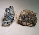 RHYNIE CHERT (TWO PIECES) - 410 million years old - Scotland