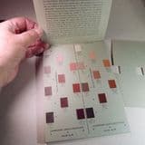 ROCK-COLOR CHART (chart produced by the Geological Society of America)