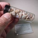 ROUGH PRECIOUS OPAL CHIPS (28 grams) - Australia