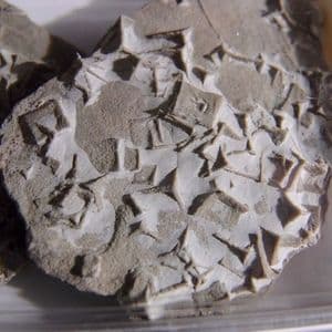 SALT PSEUDOMORPHS - Gloucestershire