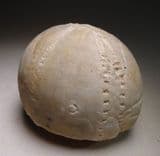SEA URCHIN (ECHINOID) PRESERVED IN FLINT - 80 million years old - Sussex