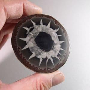 SEPTARIA - Atlas Mountains, Morocco