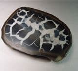 SEPTARIA (CUT AND POLISHED HALF) - Atlas Mountains, Morocco