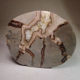 SEPTARIA (cut and polished) - Isle of Skye, Scotland