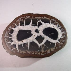 SEPTARIA (CUT HALF) - Atlas Mountains, Morocco