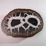 SEPTARIA (CUT HALF) - Atlas Mountains, Morocco