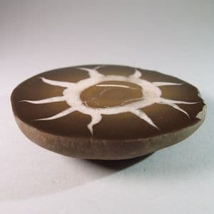 SEPTARIA (CUT HALF) - Yorkshire