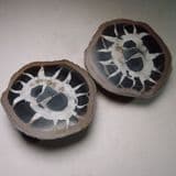 SEPTARIA - cut in half and polished - Atlas Mountains, Morocco