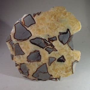 SEPTARIA (POLISHED SECTION OF A NODULE) - Norfolk