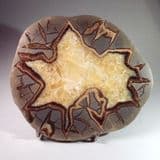 SEPTARIA - Utah, USA