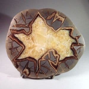 SEPTARIA - Utah, USA