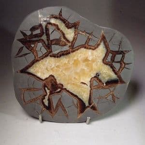 SEPTARIA (POLISHED SLICE)  -  Utah, USA