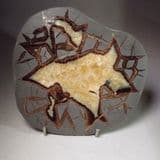 SEPTARIA (POLISHED SLICE) - Utah, USA