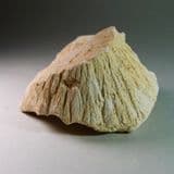 SHATTER CONES - Shock-induced structures formed by a meteorite impact - Germany