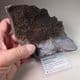 SIDERITE CRYSTALS ENCRUSTING SAND-ROCK  -   Devon