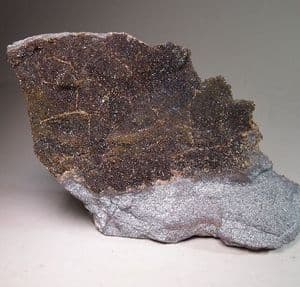 SIDERITE CRYSTALS ENCRUSTING SAND-ROCK  -   Devon