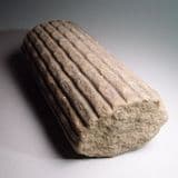 SIGILLARIA (BRANCH OF A PREHISTORIC TREE) - 300 million years old - Yorkshire