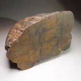 SILICIFIED FOSSIL WOOD FROM ESSEX - Chelmsford, Essex
